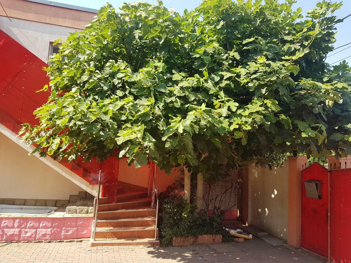 מנגליה Pensiunea Victoria מראה חיצוני תמונה